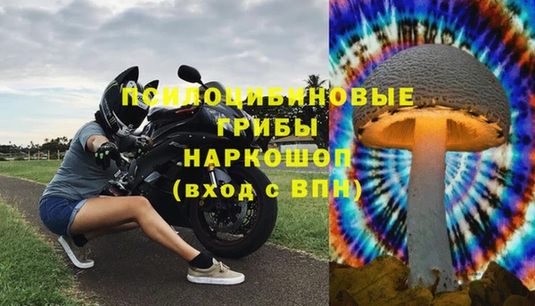 каннабис Алексеевка
