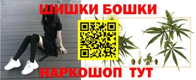 мдпв Тверь