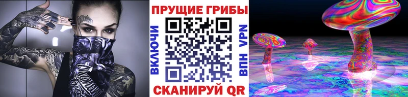 Псилоцибиновые грибы GOLDEN TEACHER  Новозыбков 