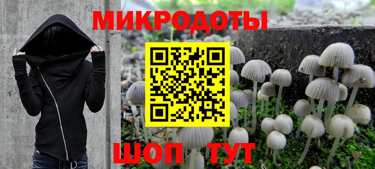 Галлюциногенные грибы Psilocybine cubensis Новозыбков