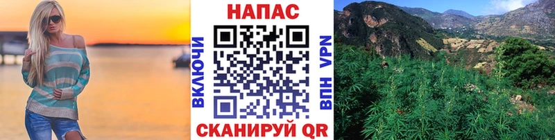 закладка  Новозыбков  Конопля MAZAR 