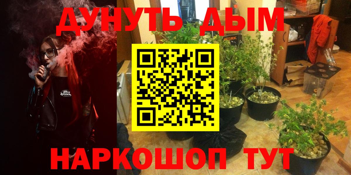 Канабис AK-47  Бошки Шишки семена  Новозыбков  Вход с VPN  Конопля VHQ  Шишки марихуана SATIVA & INDICA 